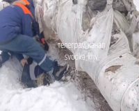 Хабаровский край