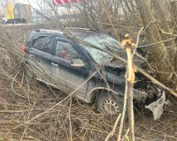 В Рязанском районе иномарка врезалась в дерево, и водитель скончался на месте