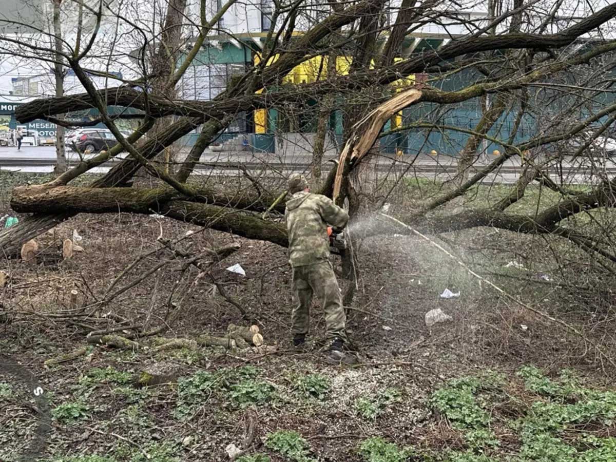 В Ростове приводят в порядок городские леса
