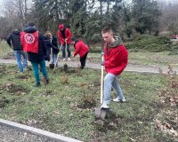 «Только от нас зависит качество жизни в Ростове»: сотни жителей города приняли участие в субботнике