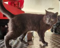 scale-1200-309521893350