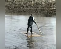 покоряет лужу