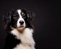 214842372411542350739