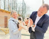 50h1t0oswly11405363236