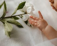 Чудо на четыре пары: в Рязанском перинатальном центре за неделю родились восемь малышей-близнецов