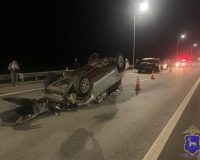 массовое дтп с лосем