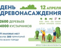 Более чем на 350 территориях пройдет День древонасаждения в Ростове