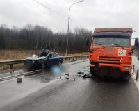 На трассе М-10 в Валдайском районе после столкновения с лосем погиб водитель автомобиля