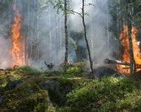 В Забайкалье пропали трое пожарных, тушивших лесные пожары