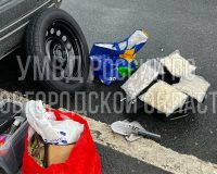 Курьера с 5 килограммами наркотической смеси поймали в Новгородской области