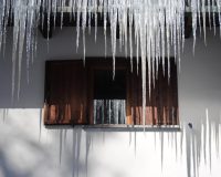 В Старой Руссе Кедровой из «Кедра» вынесен обвинительный приговор