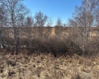 тело нашли в овраге