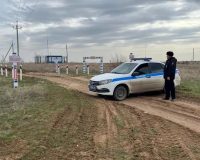 дачи запрет