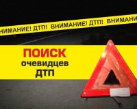 поиск очевидцев