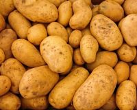 Россия может увеличить квоту на беспошлинный ввоз картофеля до 300 тысяч тонн