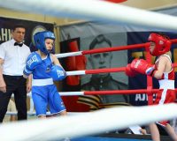 В Ростове провели боксерский турнир в память о ветеране войны Алексее Бересте