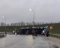 scale-1200-409070056794