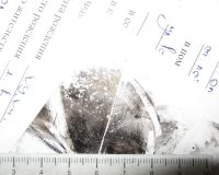 В Ярославле раскрыли дело 31-летней давности.