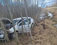 В Новгородской области автомобиль вылетел с трассы