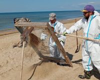 работы на пляже