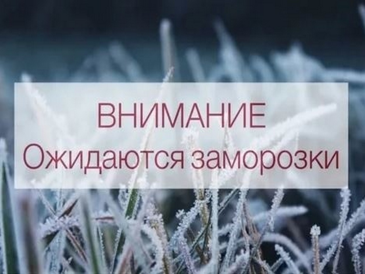 Хабаровский край