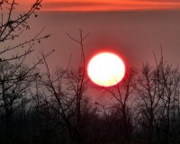 Весеннее солнце выглядит жутко