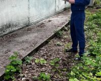 выпал из окна и погиб