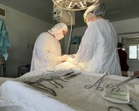 поражен паразитами