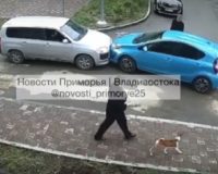 дорожный конфликт