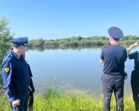 поиски тела