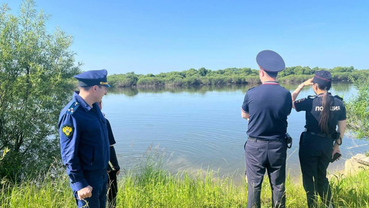 поиски тела