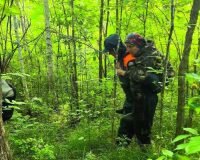 в лесу нашли двух пенсионерок