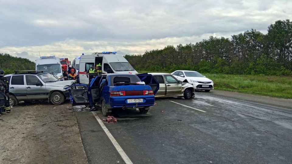 дпт саратов