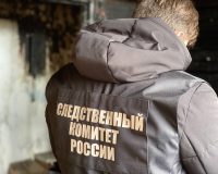 В Крестцах на пожаре в жилом доме погиб пенсионер