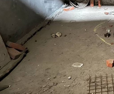 комната с мертвыми собаками