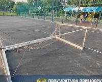 ворота упали на зебенка