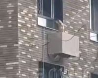 собака упала на кондиционер