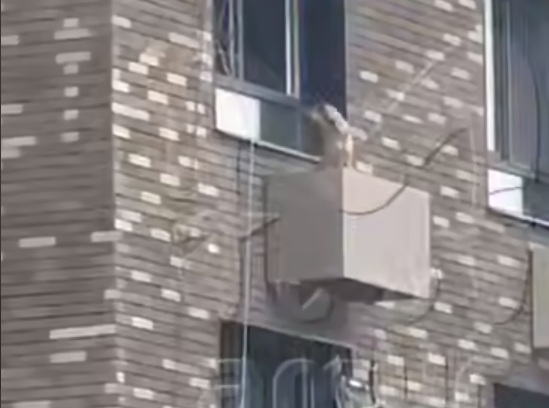 собака упала на кондиционер