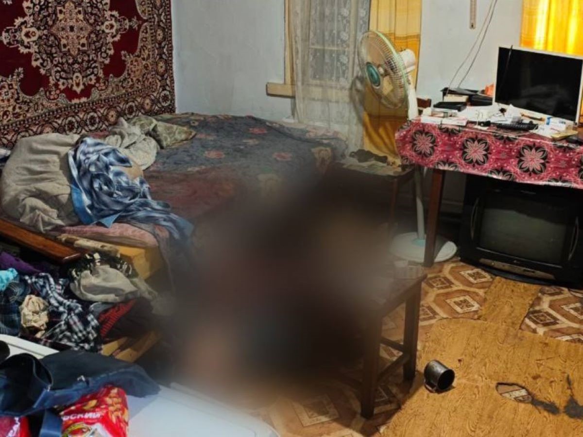 собака нашла убийцу за 10 минут