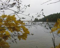 Сможем ли мы в этом году доплыть из Великого Новгорода до деревни Взвад?