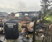 В старорусской деревне Псижа при пожаре погиб человек