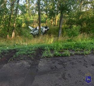 дтп с деревом