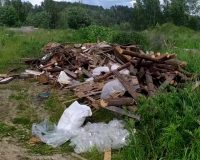 На берегу Волги под Рыбинском устроили свалку.