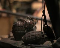 из-за гранаты закрыли зоопарк