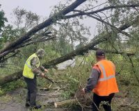 После вчерашних ливней в Новгородской области без света остались 388 населённых пунктов