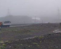 медведь напал камчатка