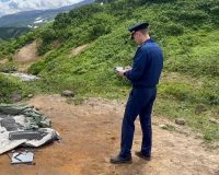 туристка медведь