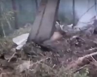 самолет упал