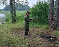Под Валдаем молния убила туриста из Москвы