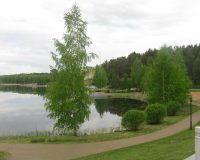 После прошедших в Новгородской области ливней уменьшится в лесах количество клещей?